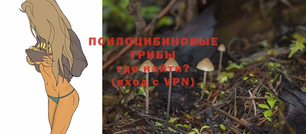 марки lsd Коряжма