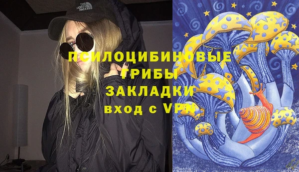 прущие крисы Костерёво