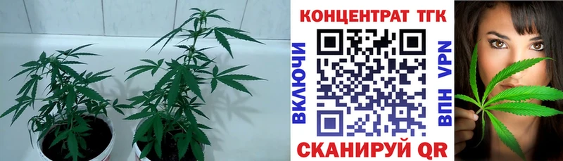 Купить закладки  Полесск  ТГК THC oil 