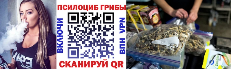 Купить  Полесск  Псилоцибиновые грибы мицелий 