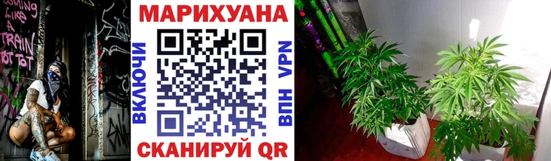 Шишки марихуана марихуана Полесск